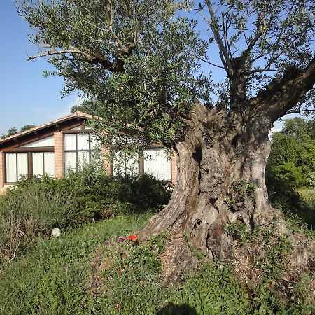 Chalet Domaine De Combe Ramond Hotel Veilhes Екстериор снимка